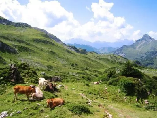 Отель Haus Kristall