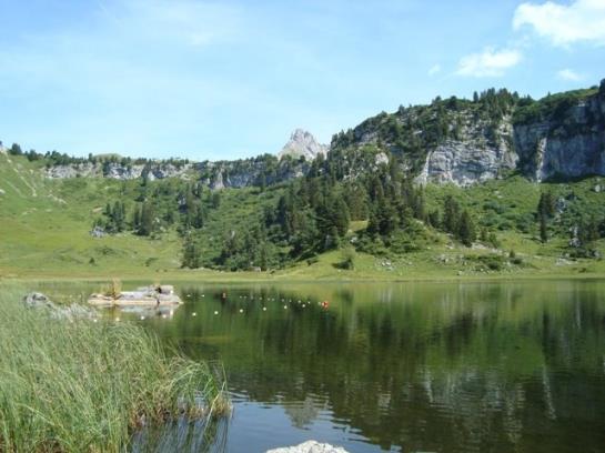 Отель Haus Kristall