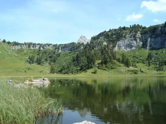 Отель Haus Kristall