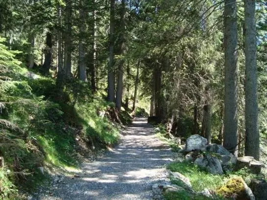 Отель Haus Kristall