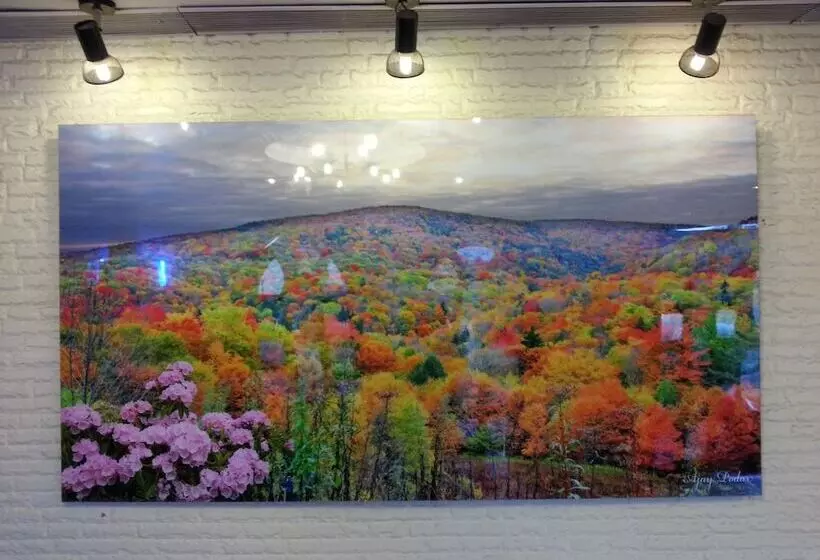 فندق Kanchandeep