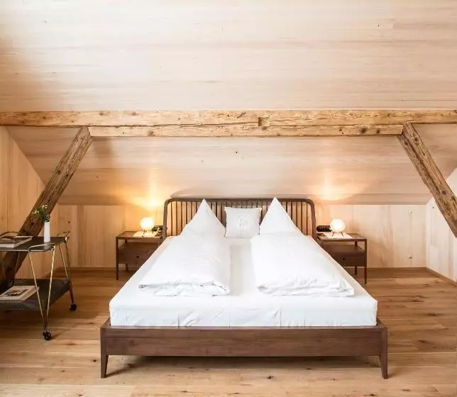 펜션 Holzgauer Haus