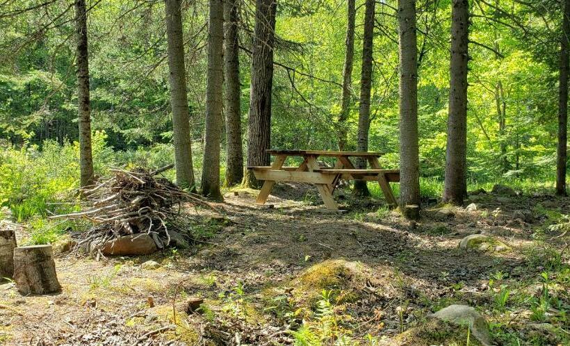 Bed & Breakfast Lukomorye