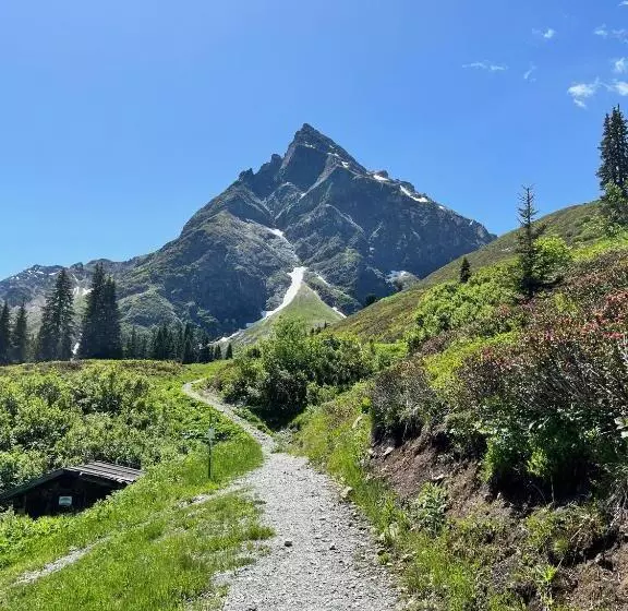 ベッドアンドブレックファースト Alpinresortmontafon Garni