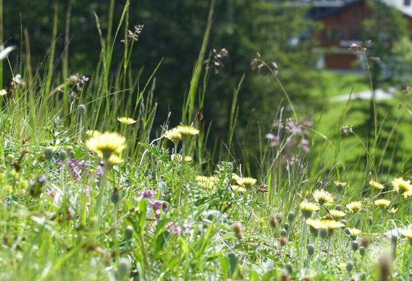 민박 Alpinresortmontafon Garni