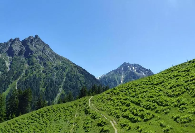 ベッドアンドブレックファースト Alpinresortmontafon Garni