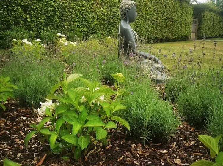 Aamiaismajoitus (B&B) Bed & Bokes Aan De Maaskant