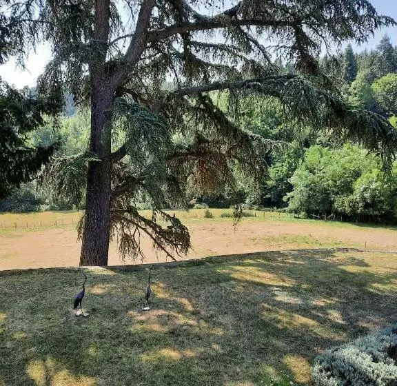 Bed and Breakfast Chambres D Hôtes Le Moulin Juste Ambierle   Loire
