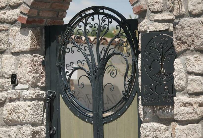 בית מלון כפרי Escape Vama Veche