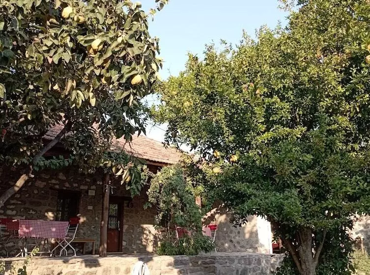 ホテル Thousand Ally Boutique