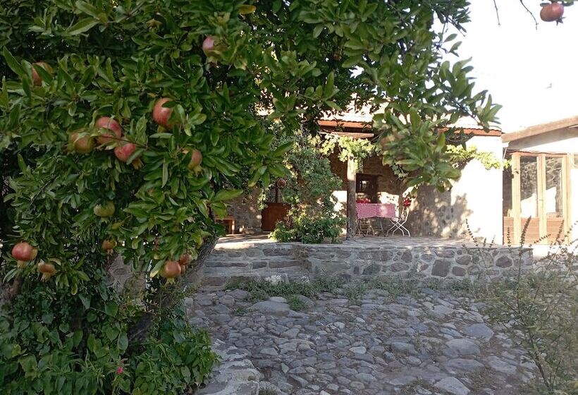 فندق Thousand Ally Boutique