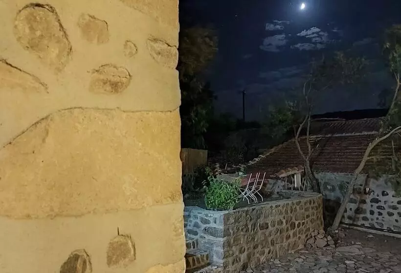 ホテル Thousand Ally Boutique