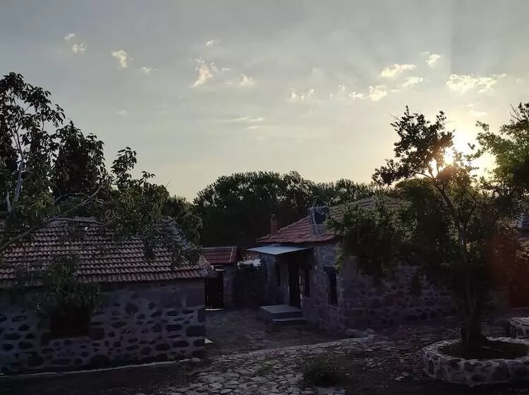 ホテル Thousand Ally Boutique