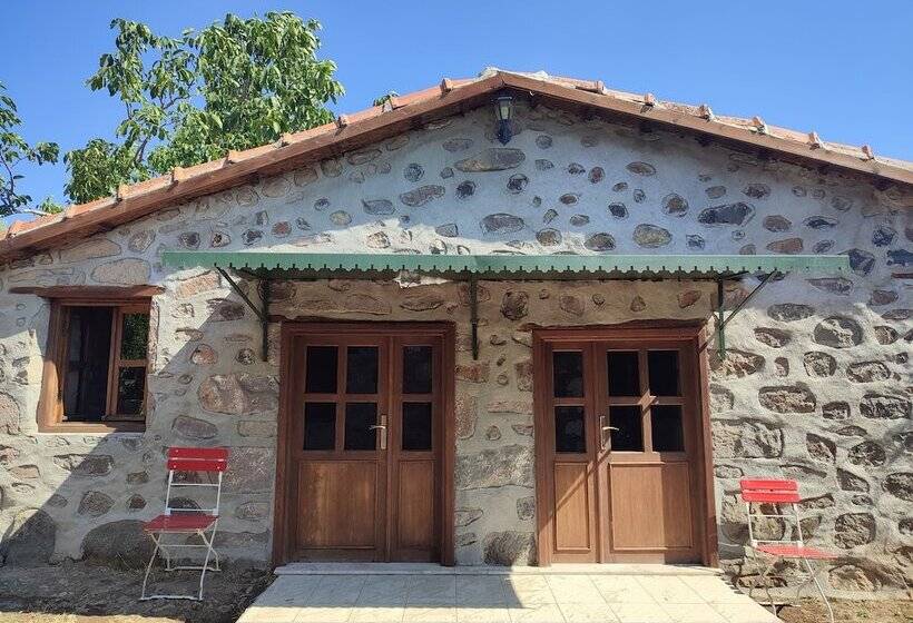 فندق Thousand Ally Boutique