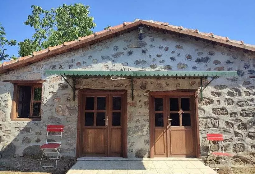 ホテル Thousand Ally Boutique