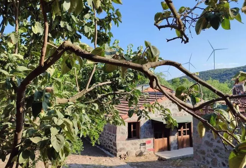 ホテル Thousand Ally Boutique