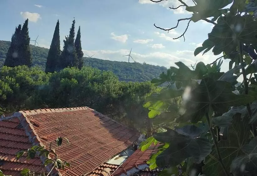 ホテル Thousand Ally Boutique