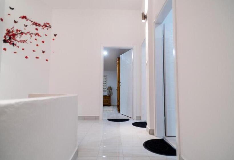 پانسیون Purple Rooms