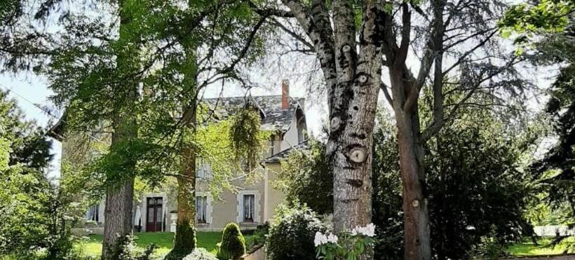 住宿加早餐 Château D Arfeuilles Chambres Et Tables D Hôtes