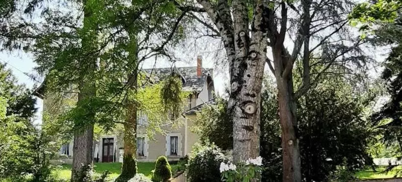 ベッドアンドブレックファースト Château D Arfeuilles Chambres Et Tables D Hôtes
