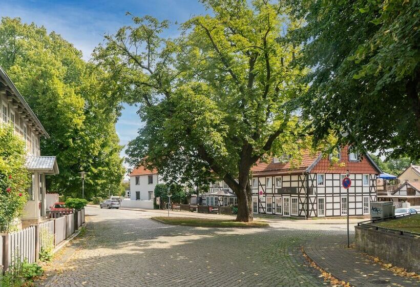 Limehome Salzgitter A. Schweitzer Str