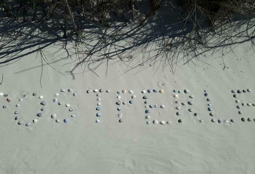 Haus Poststraße 10 11 Postperle