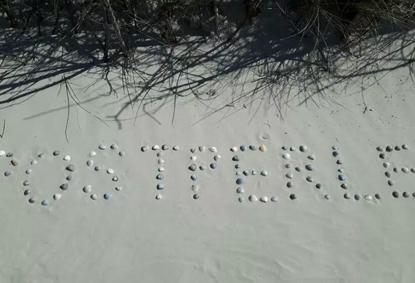 Haus Poststraße 10 11 Postperle