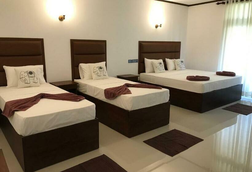 בית מלון כפרי Lemazone Inn