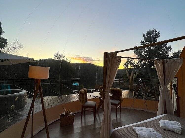 酒店 Zion Bubble Glamping