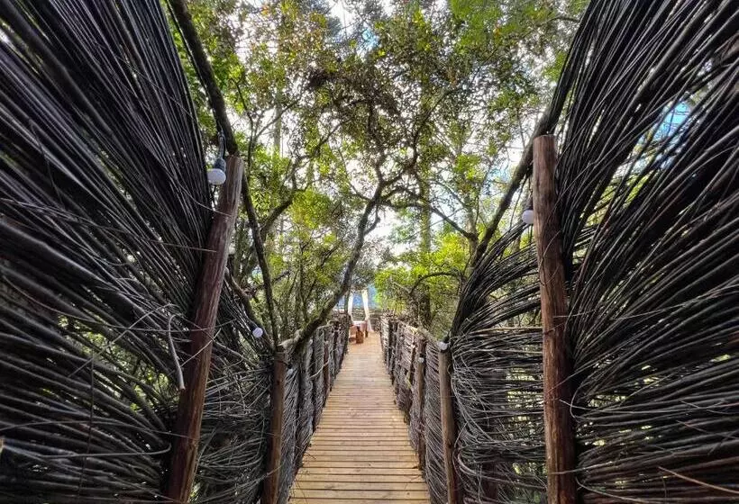 Hotelli Zion Bubble Glamping