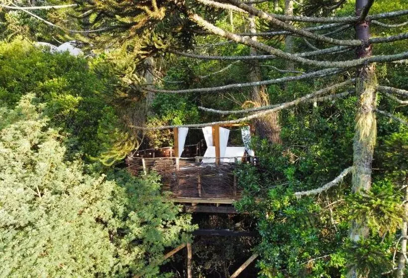 Hotelli Zion Bubble Glamping