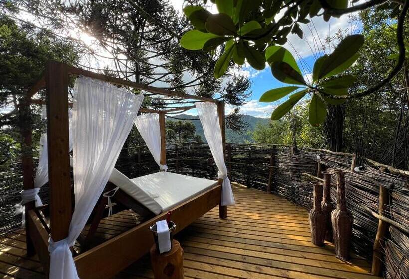 酒店 Zion Bubble Glamping