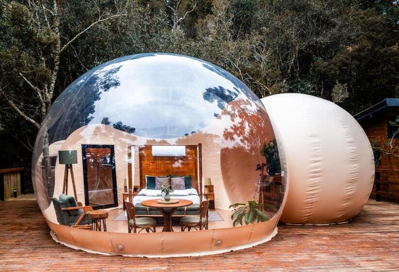 酒店 Zion Bubble Glamping