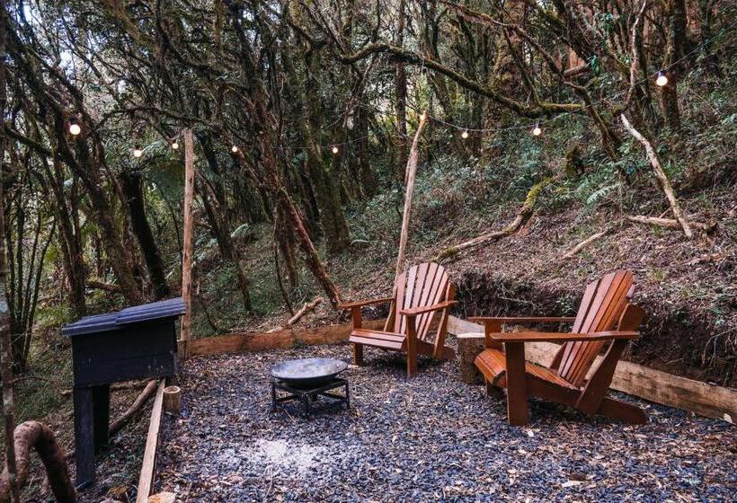 酒店 Zion Bubble Glamping