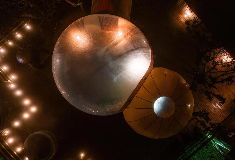 酒店 Zion Bubble Glamping