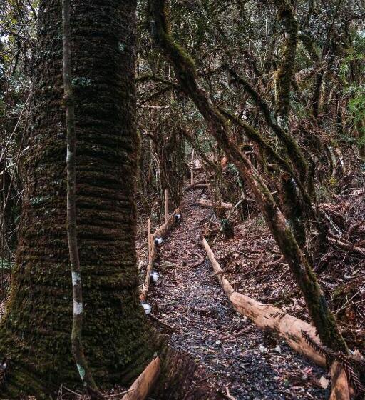 酒店 Zion Bubble Glamping