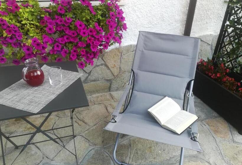 B&b Polline & Conchiglie