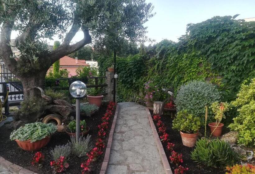 B&b Polline & Conchiglie