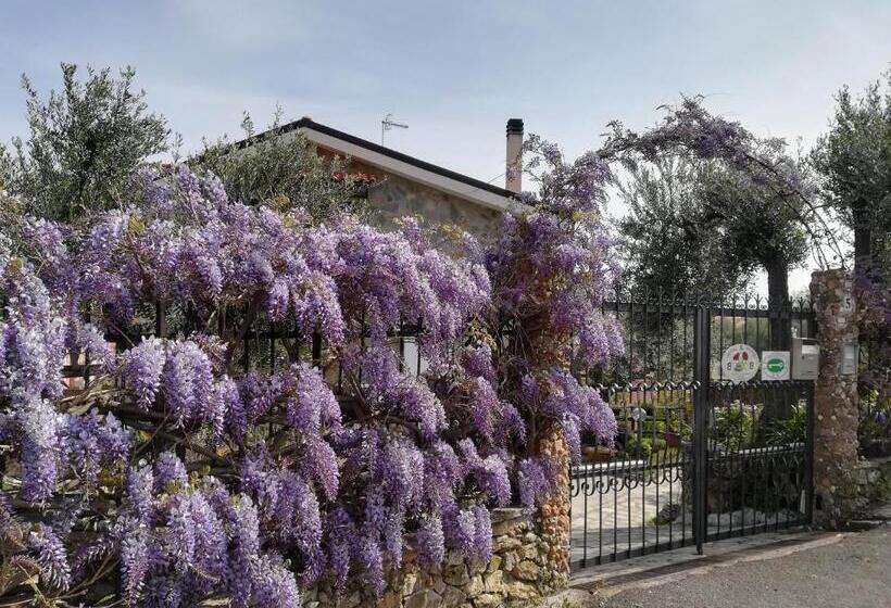 B&b Polline & Conchiglie