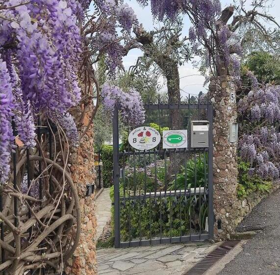 B&b Polline & Conchiglie