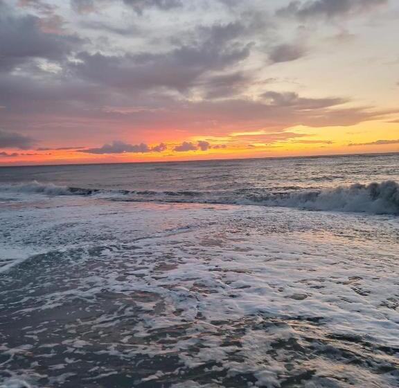 B&b Polline & Conchiglie