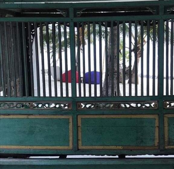 Szálloda Eco Dive Resort Alycastre