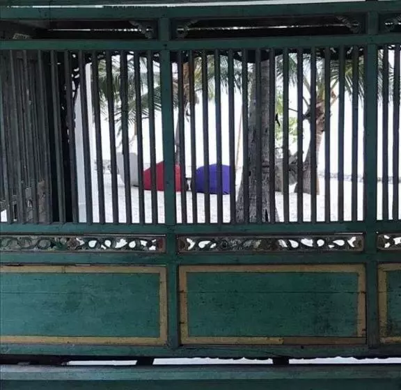 ホテル Eco Dive Resort Alycastre