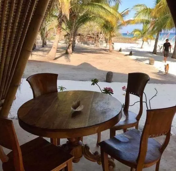 ホテル Eco Dive Resort Alycastre