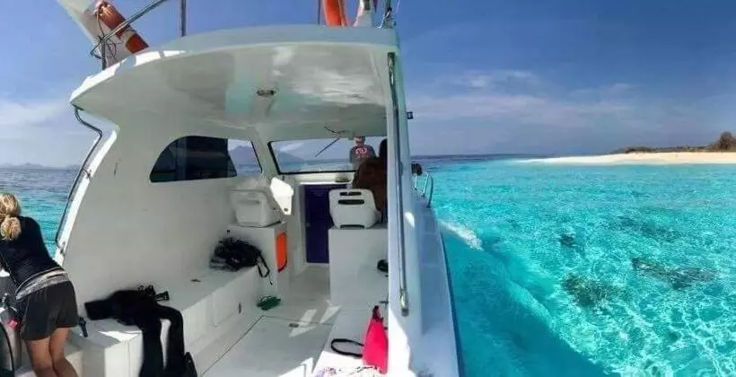 ホテル Eco Dive Resort Alycastre