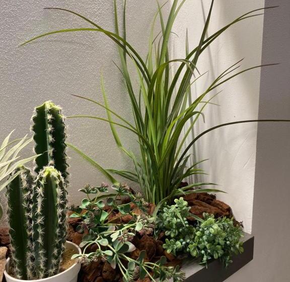 پانسیون Appartamenti Moderna 500m Dal Duomo