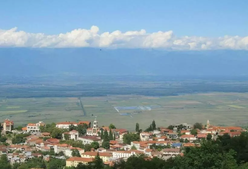 پانسیون Family Hotel In Nukriani , 2km From Sighnaghi