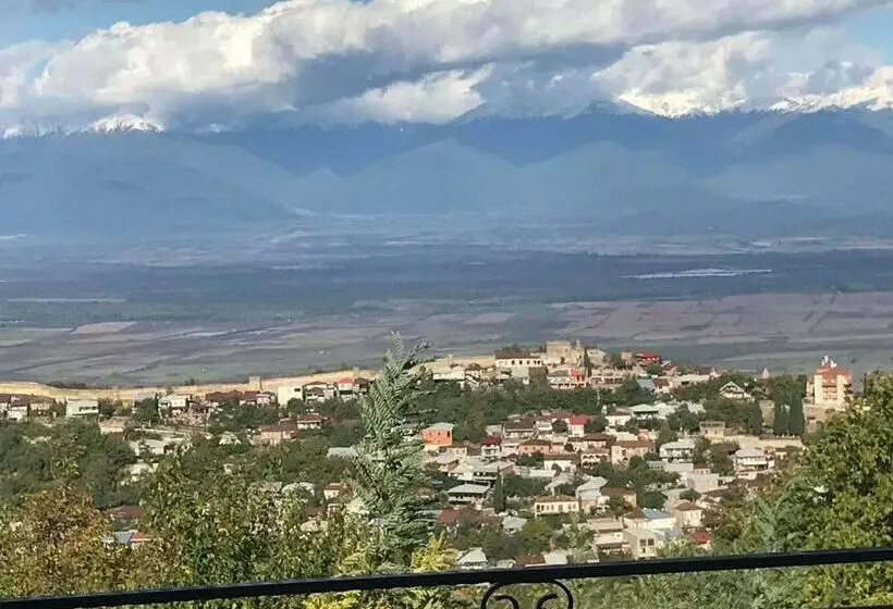 پانسیون Family Hotel In Nukriani , 2km From Sighnaghi