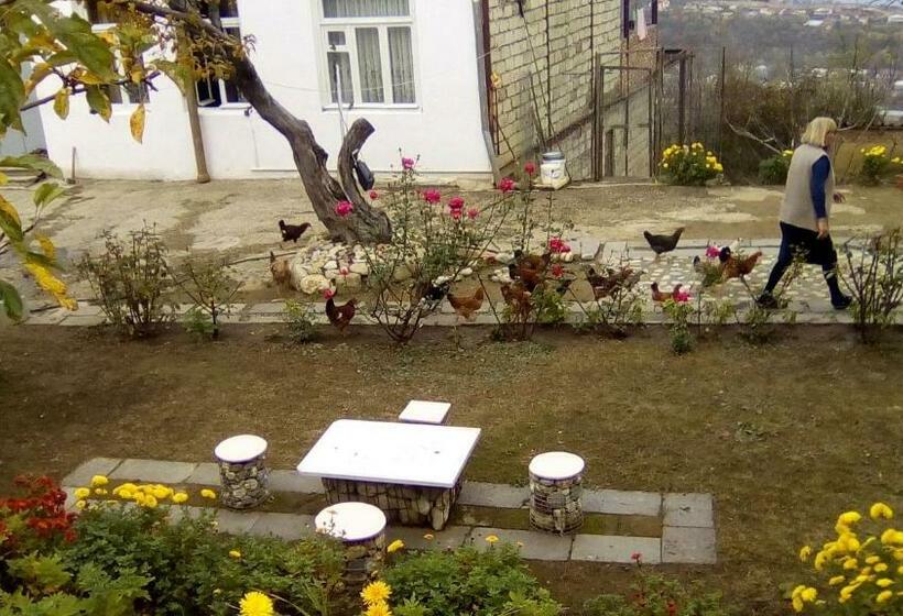 پانسیون Family Hotel In Nukriani , 2km From Sighnaghi