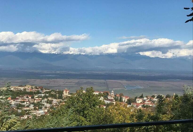 پانسیون Family Hotel In Nukriani , 2km From Sighnaghi